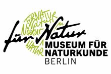 Logo MfN